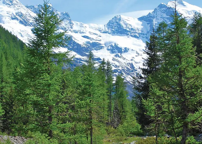 Casa vacanze Isolina Valsavarenche